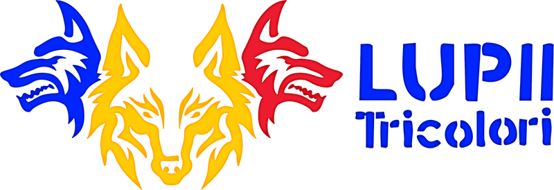 default-logo