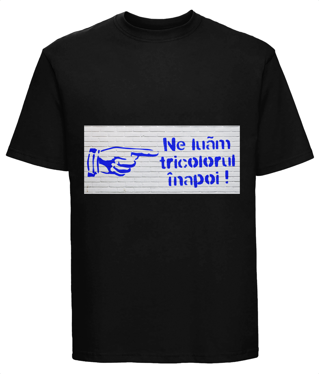 Ne Luăm Tricolorul Înapoi 180M Tricou | Russell